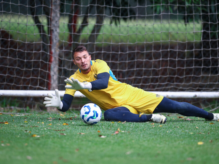 {{brizy_dc_image_alt entityId=