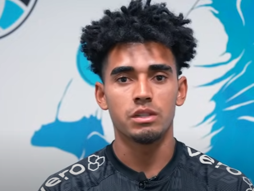 {{brizy_dc_image_alt entityId=